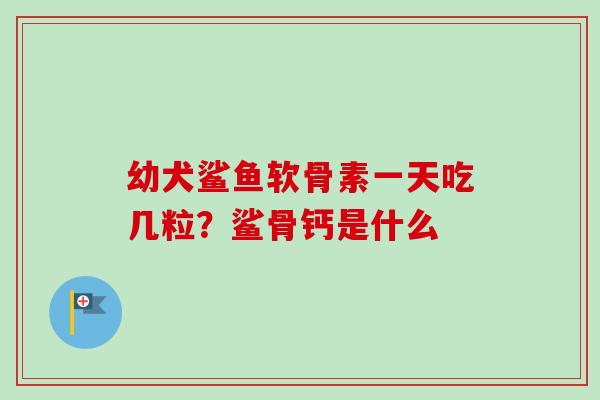 幼犬鲨鱼软骨素一天吃几粒？鲨骨钙是什么