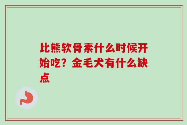 比熊软骨素什么时候开始吃？金毛犬有什么缺点