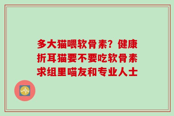多大猫喂软骨素？健康折耳猫要不要吃软骨素求组里喵友和专业人士