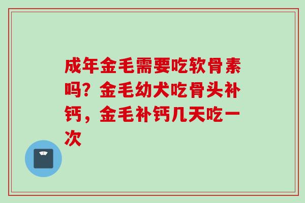 成年金毛需要吃软骨素吗？金毛幼犬吃骨头补钙，金毛补钙几天吃一次