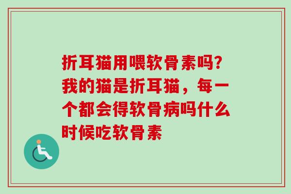 折耳猫用喂软骨素吗？我的猫是折耳猫，每一个都会得软骨病吗什么时候吃软骨素