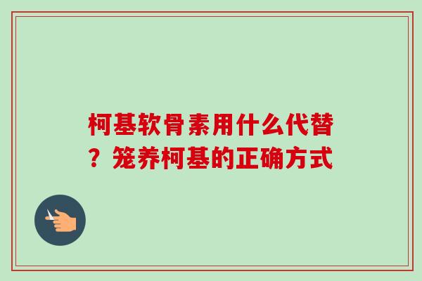 柯基软骨素用什么代替？笼养柯基的正确方式