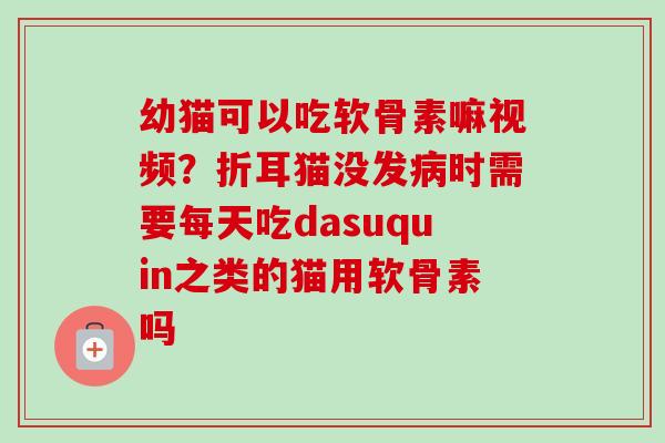幼猫可以吃软骨素嘛视频？折耳猫没发病时需要每天吃dasuquin之类的猫用软骨素吗