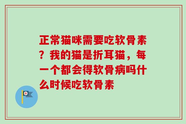正常猫咪需要吃软骨素？我的猫是折耳猫，每一个都会得软骨病吗什么时候吃软骨素