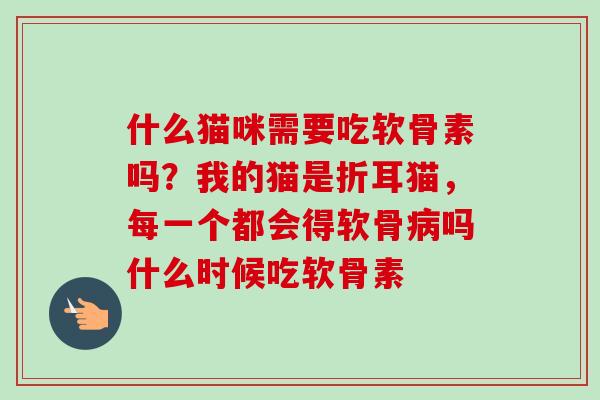 什么猫咪需要吃软骨素吗？我的猫是折耳猫，每一个都会得软骨病吗什么时候吃软骨素