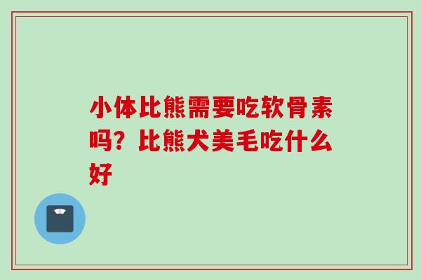 小体比熊需要吃软骨素吗？比熊犬美毛吃什么好