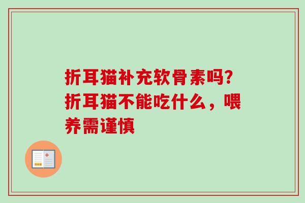 折耳猫补充软骨素吗？折耳猫不能吃什么，喂养需谨慎