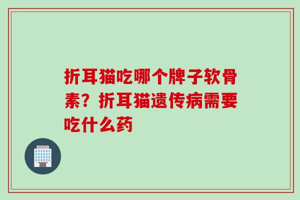 折耳猫吃哪个牌子软骨素？折耳猫遗传病需要吃什么药