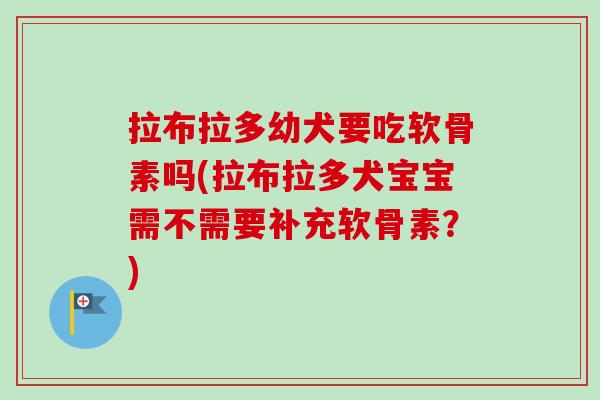 拉布拉多幼犬要吃软骨素吗(拉布拉多犬宝宝需不需要补充软骨素？)