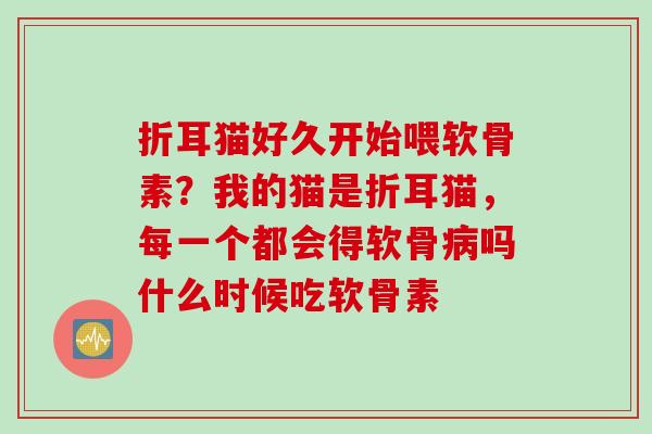 折耳猫好久开始喂软骨素？我的猫是折耳猫，每一个都会得软骨病吗什么时候吃软骨素