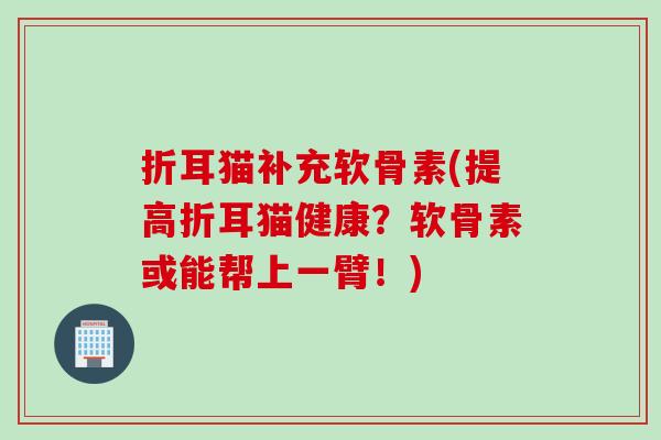 折耳猫补充软骨素(提高折耳猫健康？软骨素或能帮上一臂！)