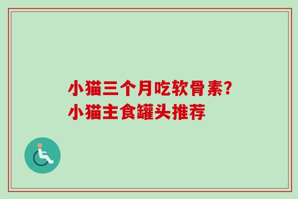 小猫三个月吃软骨素？小猫主食罐头推荐