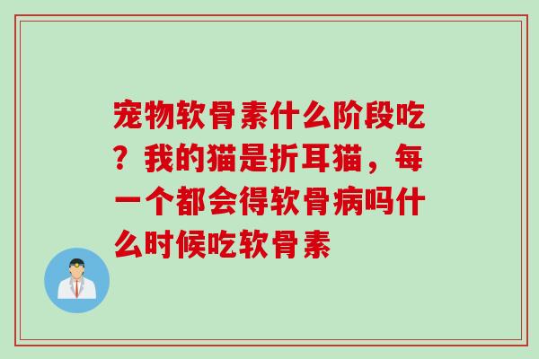 宠物软骨素什么阶段吃？我的猫是折耳猫，每一个都会得软骨病吗什么时候吃软骨素