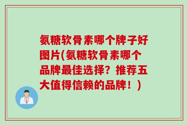 氨糖软骨素哪个牌子好图片(氨糖软骨素哪个品牌最佳选择？推荐五大值得信赖的品牌！)