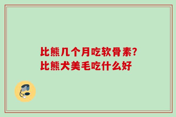 比熊几个月吃软骨素?比熊犬美毛吃什么好 比熊几个月吃软骨素?比熊犬美毛吃什么好