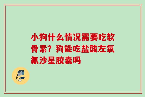 小狗什么情况需要吃软骨素?狗能吃盐酸左氧氟沙星胶囊吗 小狗什么情况需要吃软骨素?狗能吃盐酸左氧氟沙星胶囊吗