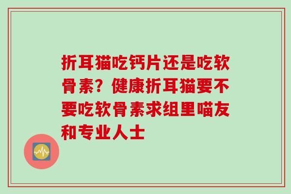折耳猫吃钙片还是吃软骨素？健康折耳猫要不要吃软骨素求组里喵友和专业人士