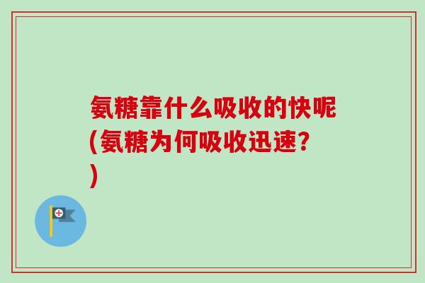 氨糖靠什么吸收的快呢(氨糖为何吸收迅速？)