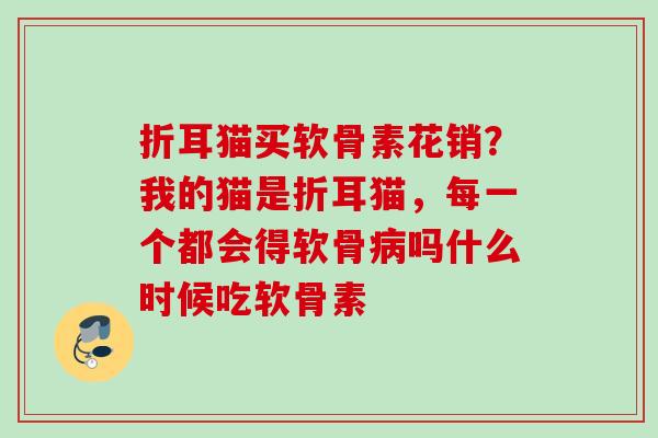 折耳猫买软骨素花销？我的猫是折耳猫，每一个都会得软骨病吗什么时候吃软骨素