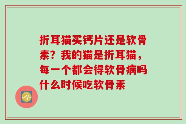 折耳猫买钙片还是软骨素？我的猫是折耳猫，每一个都会得软骨病吗什么时候吃软骨素