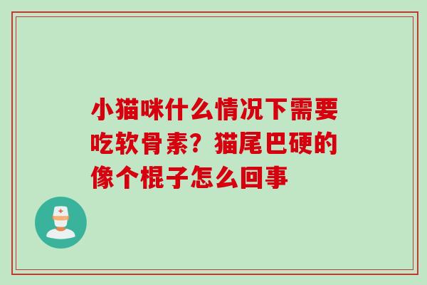 小猫咪什么情况下需要吃软骨素？猫尾巴硬的像个棍子怎么回事