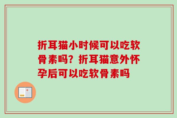 折耳猫小时候可以吃软骨素吗？折耳猫意外怀孕后可以吃软骨素吗
