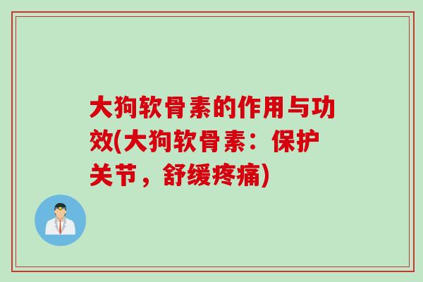 大狗软骨素的作用与功效(大狗软骨素：保护关节，舒缓疼痛)
