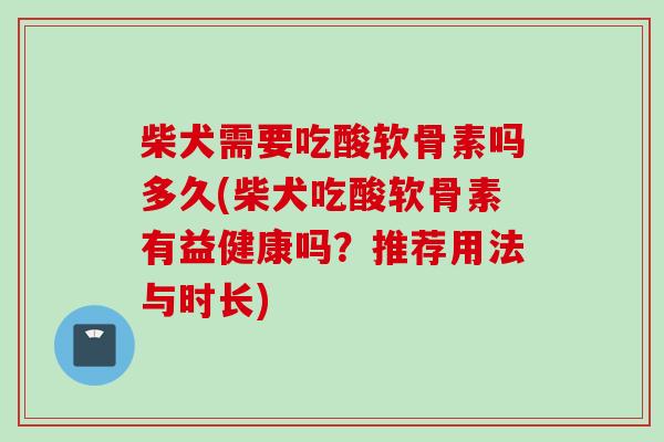 柴犬需要吃酸软骨素吗多久(柴犬吃酸软骨素有益健康吗？推荐用法与时长)