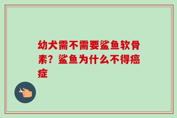 幼犬需不需要鲨鱼软骨素？鲨鱼为什么不得癌症
