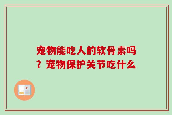 宠物能吃人的软骨素吗？宠物保护关节吃什么