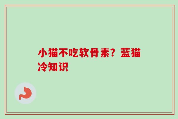 小猫不吃软骨素？蓝猫冷知识