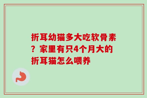 折耳幼猫多大吃软骨素？家里有只4个月大的折耳猫怎么喂养