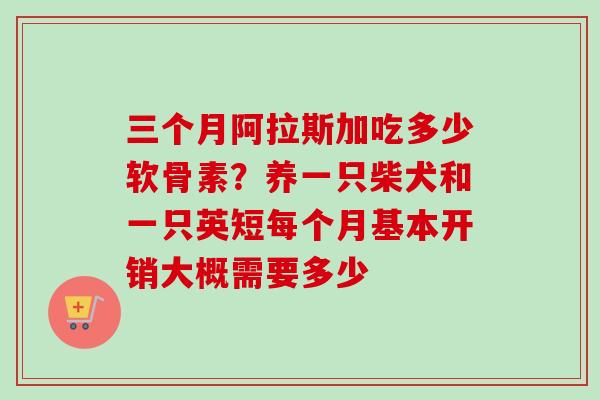 三个月阿拉斯加吃多少软骨素？养一只柴犬和一只英短每个月基本开销大概需要多少