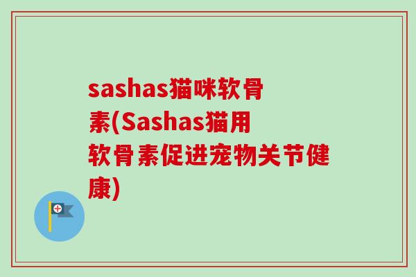 sashas猫咪软骨素(Sashas猫用软骨素促进宠物关节健康)