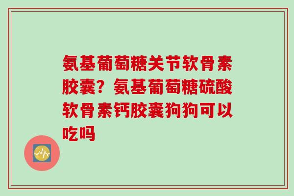 氨基葡萄糖关节软骨素胶囊？氨基葡萄糖硫酸软骨素钙胶囊狗狗可以吃吗
