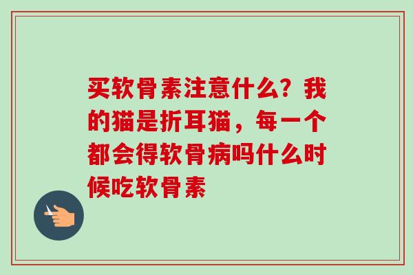 买软骨素注意什么?我的猫是折耳猫,每一个都会得软骨吗什么时候吃软骨素 买软骨素注意什么?我的猫是折耳猫,每一个都会得软骨吗什么时候吃软骨素