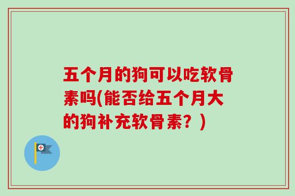 五个月的狗可以吃软骨素吗(能否给五个月大的狗补充软骨素？)