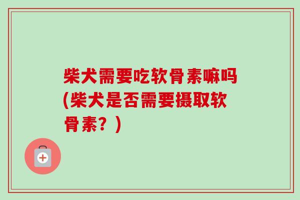 柴犬需要吃软骨素嘛吗(柴犬是否需要摄取软骨素？)