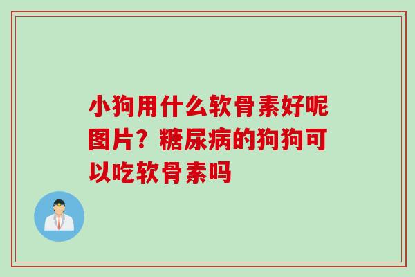小狗用什么软骨素好呢图片？糖尿病的狗狗可以吃软骨素吗
