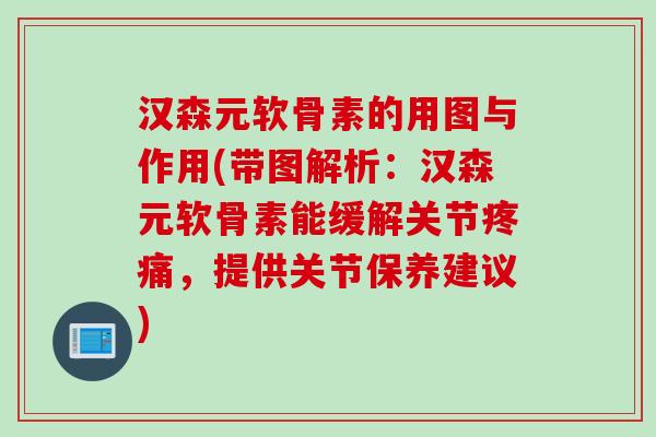 汉森元软骨素的用图与作用(带图解析：汉森元软骨素能缓解关节疼痛，提供关节保养建议)