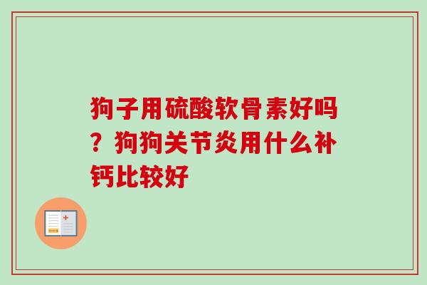 狗子用硫酸软骨素好吗？狗狗关节炎用什么补钙比较好