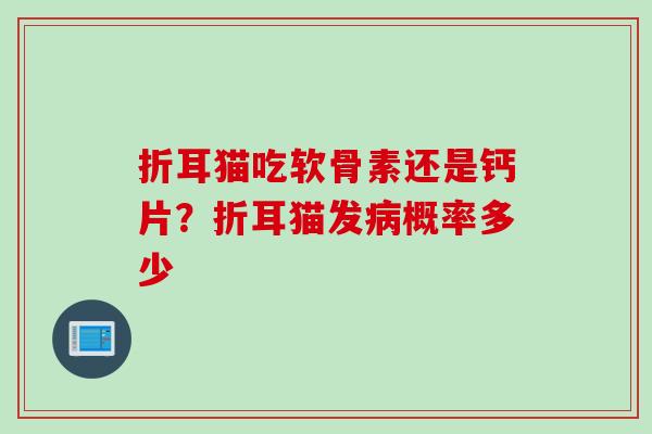 折耳猫吃软骨素还是钙片？折耳猫发病概率多少