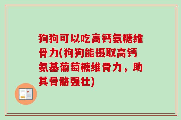 狗狗可以吃高钙氨糖维骨力(狗狗能摄取高钙氨基葡萄糖维骨力，助其骨骼强壮)