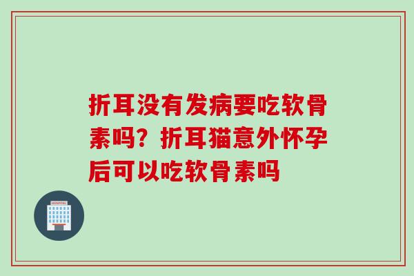 折耳没有发病要吃软骨素吗？折耳猫意外怀孕后可以吃软骨素吗