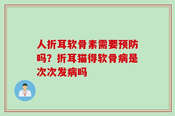 人折耳软骨素需要预防吗？折耳猫得软骨病是次次发病吗
