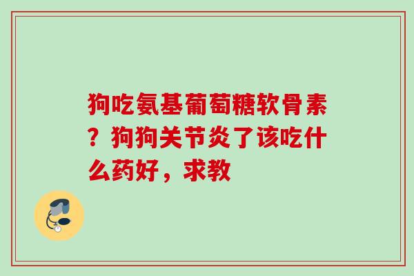 狗吃氨基葡萄糖软骨素？狗狗关节炎了该吃什么药好，求教