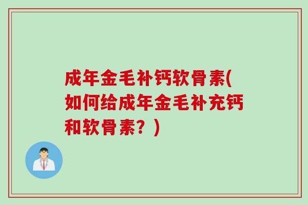 成年金毛补钙软骨素(如何给成年金毛补充钙和软骨素？)