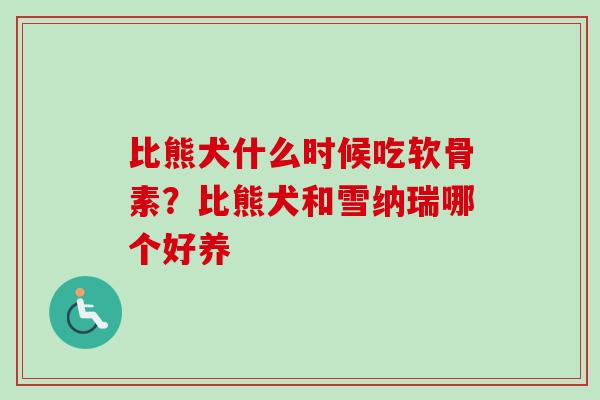 比熊犬什么时候吃软骨素？比熊犬和雪纳瑞哪个好养