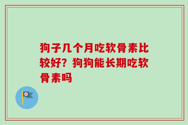 狗子几个月吃软骨素比较好？狗狗能长期吃软骨素吗