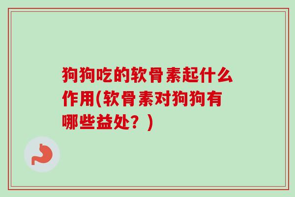 狗狗吃的软骨素起什么作用(软骨素对狗狗有哪些益处？)